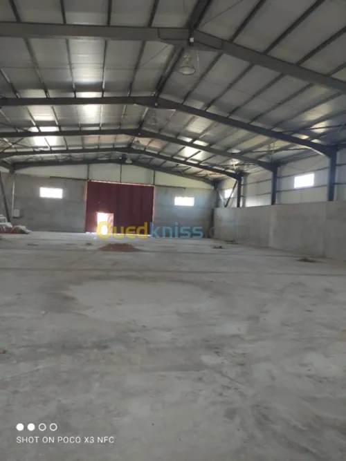 Vente Hangar Alger Douera