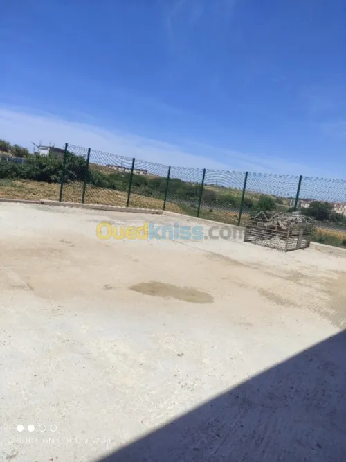 Vente Hangar Alger Douera