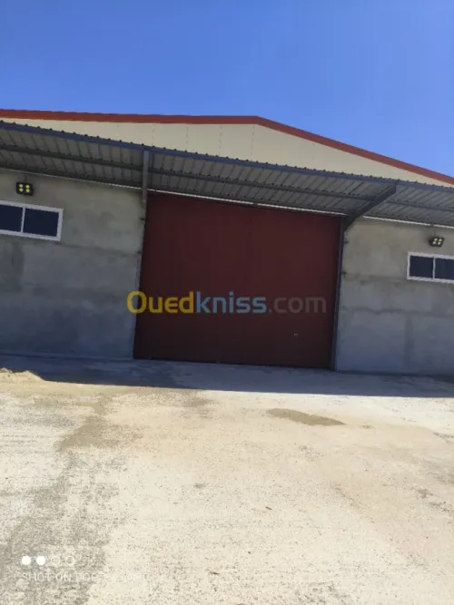 Vente Hangar Alger Douera