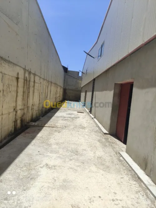 Vente Hangar Alger Douera