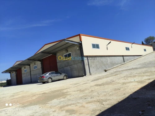 Vente Hangar Alger Douera