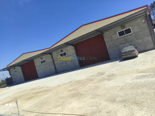 Vente Hangar Alger Douera