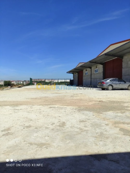 Vente Hangar Alger Douera