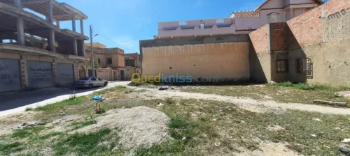 Vente Terrain Tebessa Tebessa