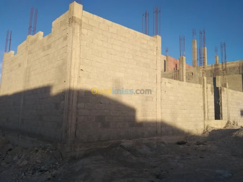 Vente Carcasse Mila Chelghoum laid