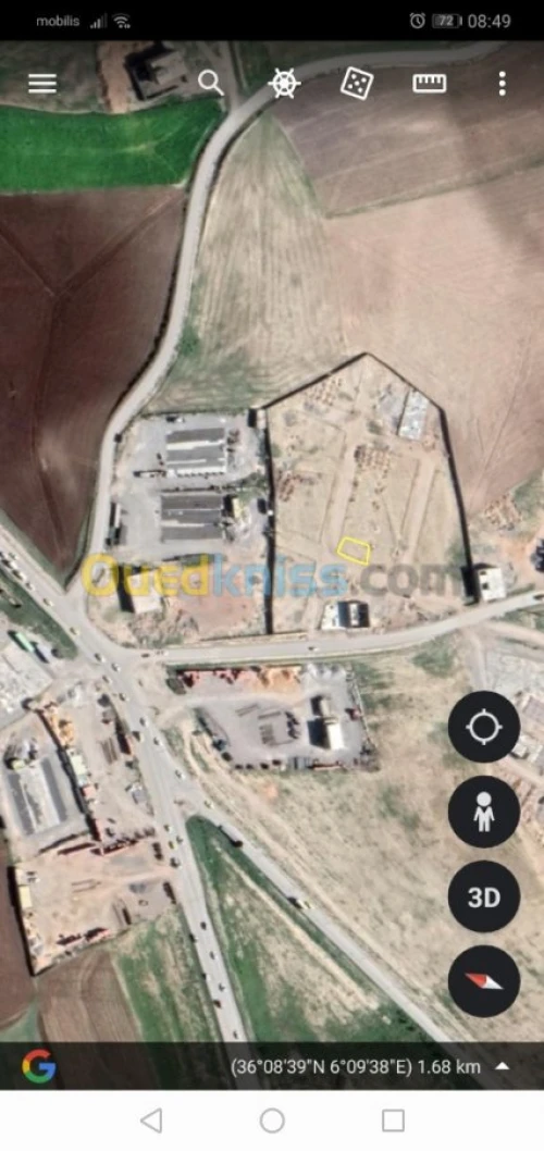 Vente Carcasse Mila Chelghoum laid