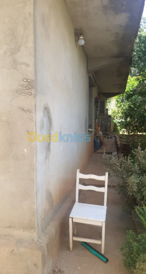 Vente Terrain Alger Saoula