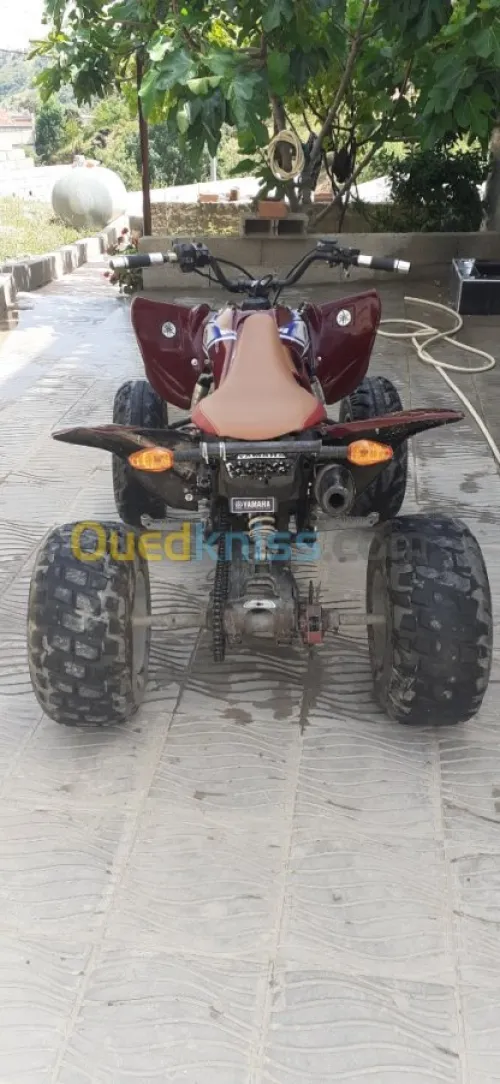 Yamaha 150