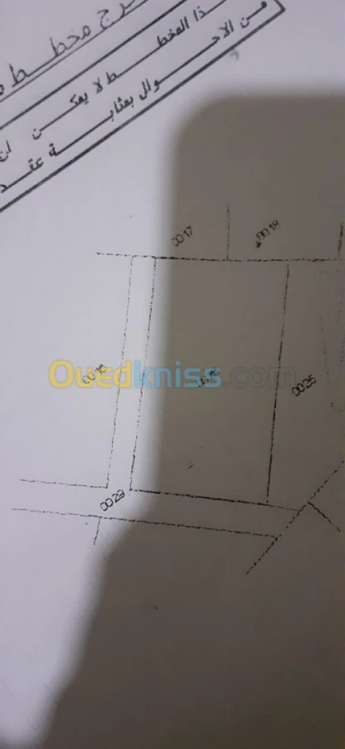 Vente Terrain Tebessa Hammamet