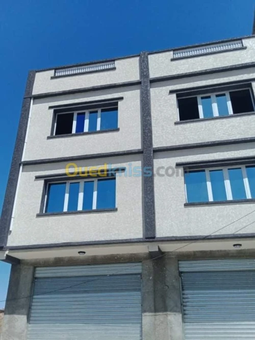 Monocouche mouchete écrasé façade 