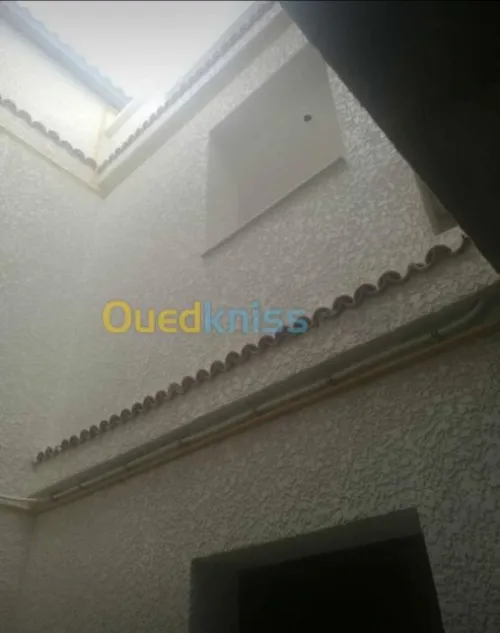 Monocouche mouchete écrasé façade 
