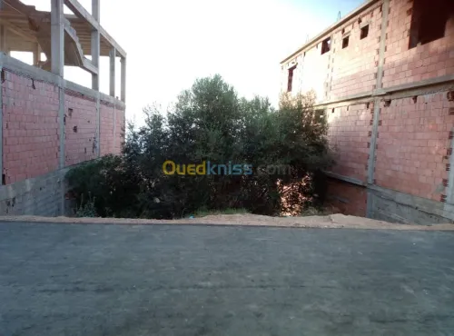 Vente Terrain Aïn Témouchent Beni saf