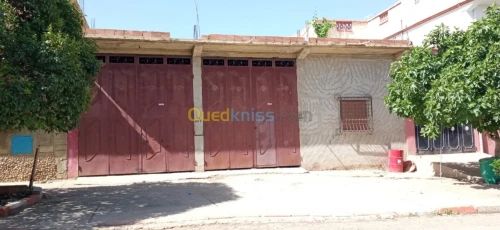 Vente Carcasse Tiaret Rahouia