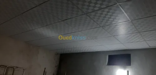 Décoration plafond 