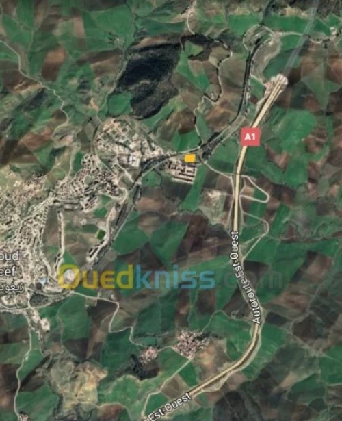 Vente Terrain Constantine Zighoud youcef