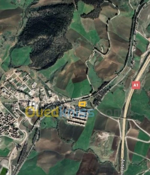 Vente Terrain Constantine Zighoud youcef
