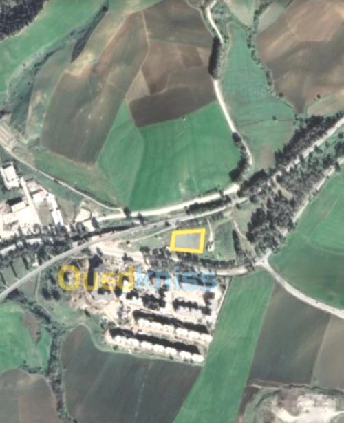 Vente Terrain Constantine Zighoud youcef