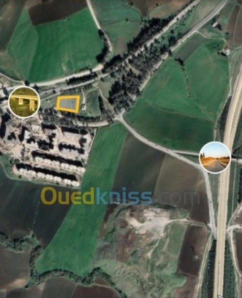 Vente Terrain Constantine Zighoud youcef