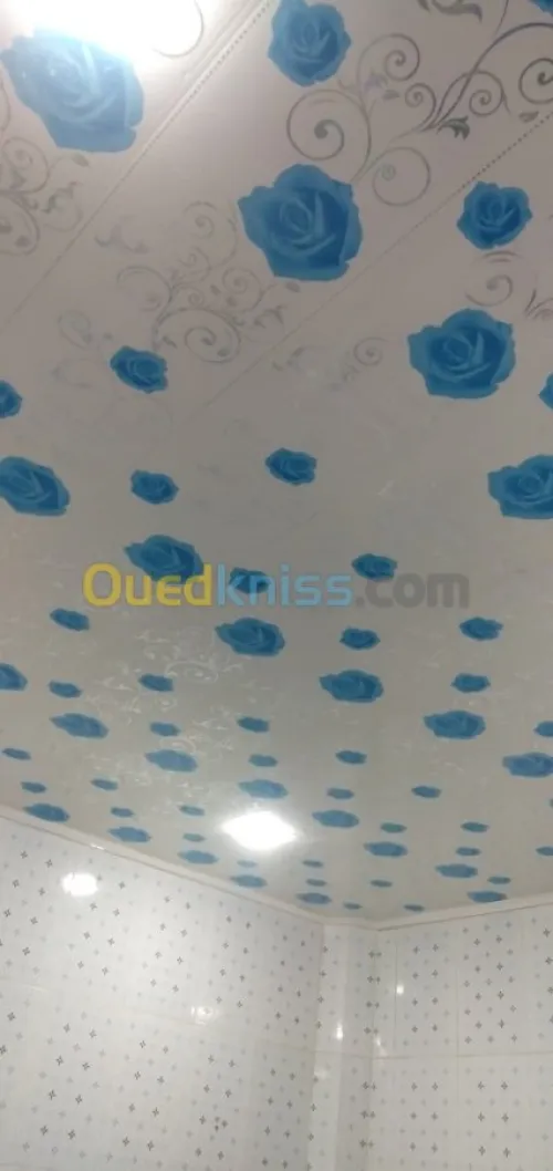 Électricité, climatiseur, placo BA13,P