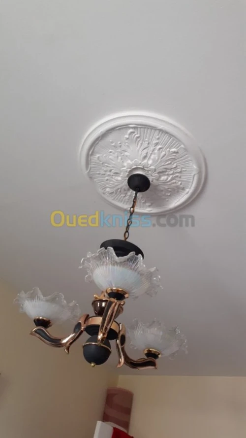 Vente Immeuble Blida Bougara