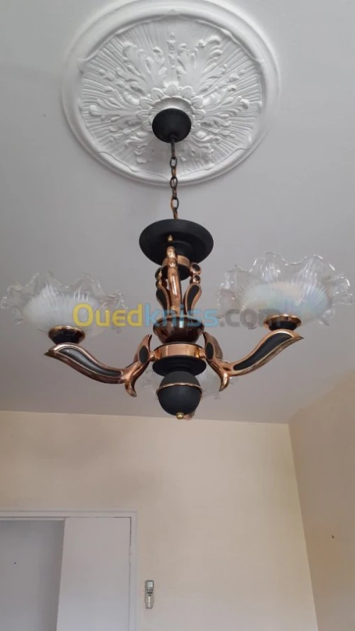 Vente Immeuble Blida Bougara