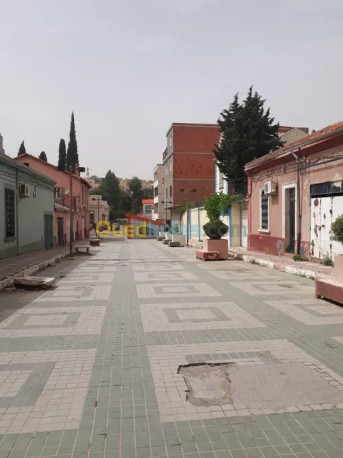 Vente Appartement F6 Tiaret Tiaret