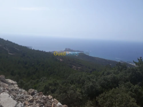 Location Appartement Jijel Jijel