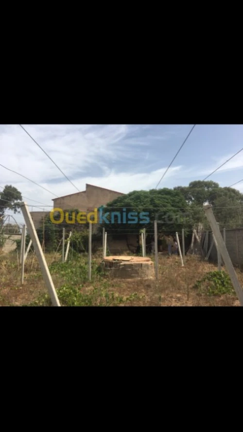 Vente Villa Boumerdes Zemmouri