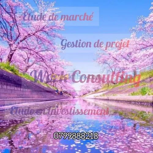 دراسة الاسواق