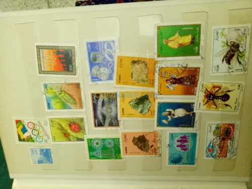 timbres