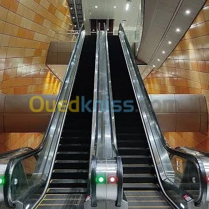 Fourniture et pose  des ascenseurs 