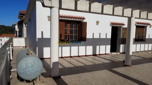 Location Villa Alger Dely brahim