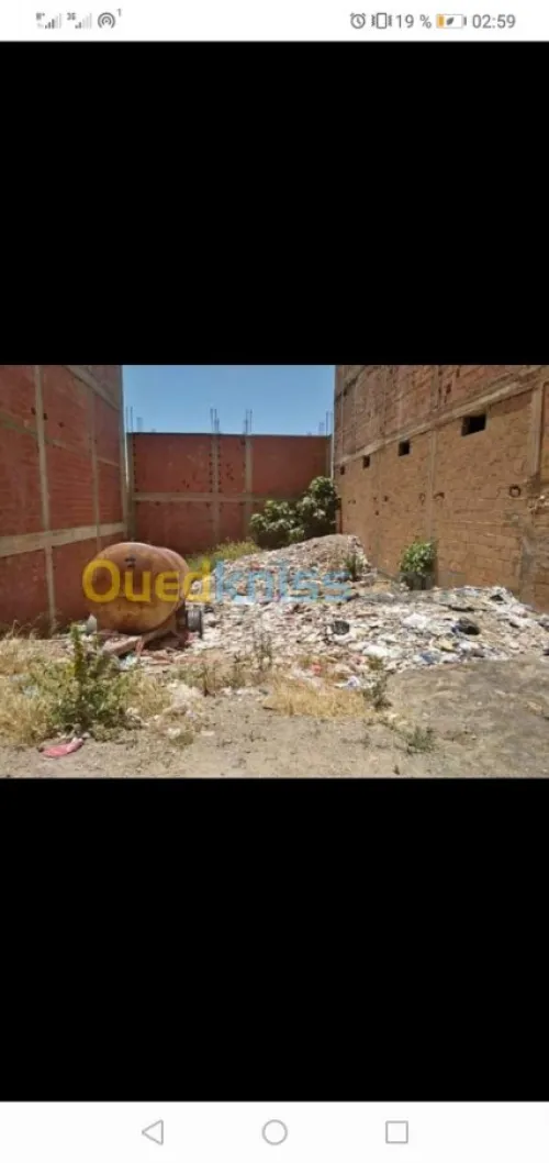 Vente Terrain Tipaza Attatba