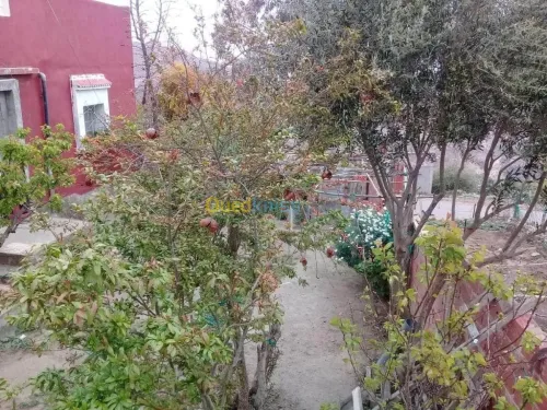 Vente Niveau De Villa F6 Tlemcen Marsa ben mhidi