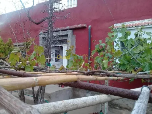 Vente Niveau De Villa F6 Tlemcen Marsa ben mhidi