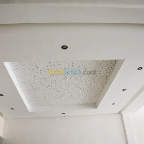 Placo plâtre pvc pentures