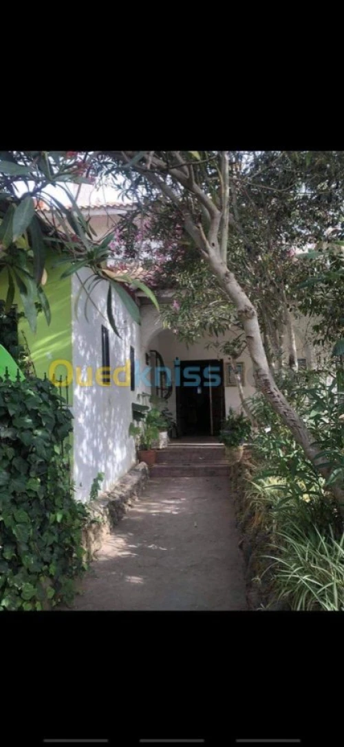 Vente Villa Alger Douera