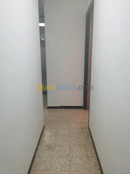 Location Local Oran Bir el djir