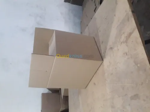 tronsformation carton