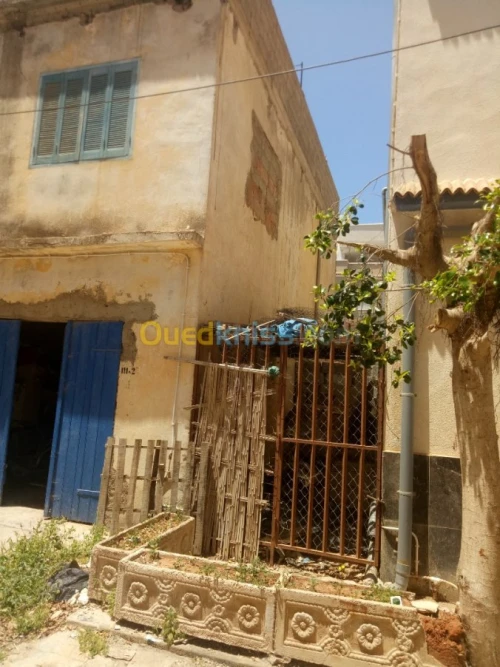 Vente bien immobilier Tlemcen Dar yaghmouracene