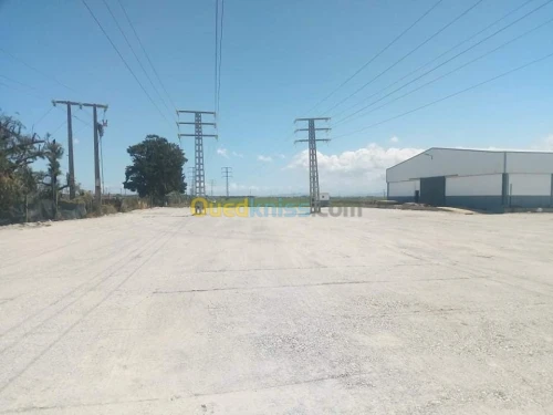 Terain 5000 m plus 1500 engare cover 