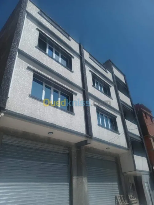 mouchete écrasé façade 