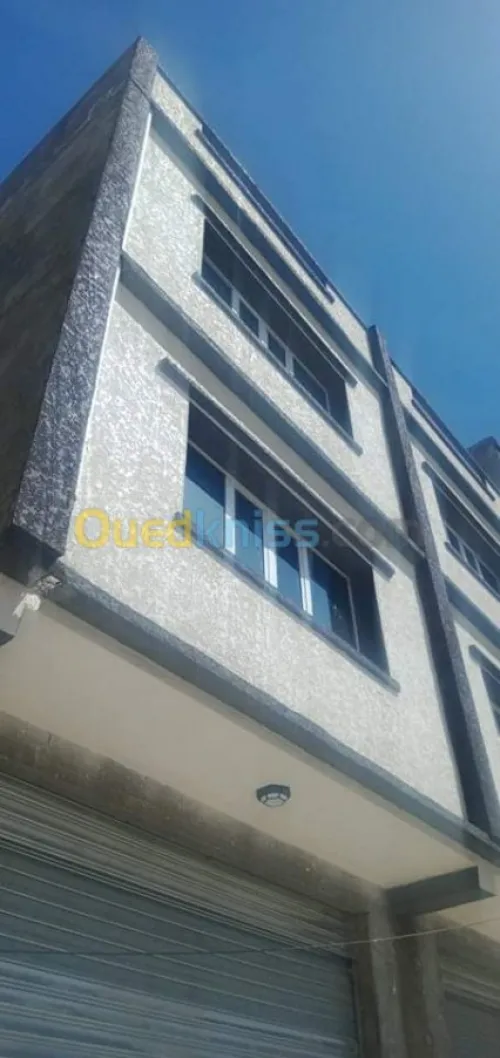 mouchete écrasé façade 