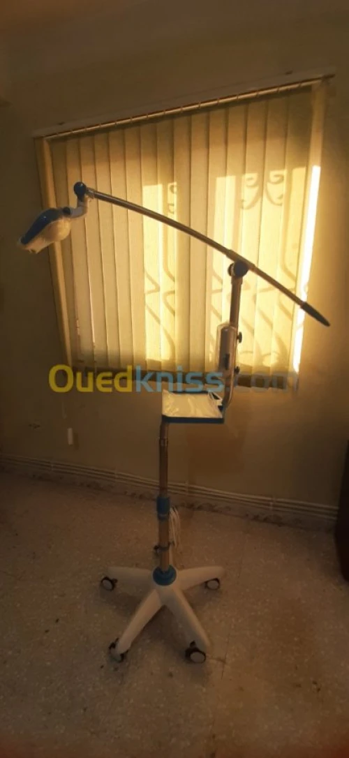 الجلفة