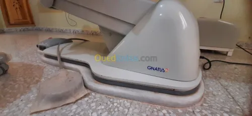 الجلفة