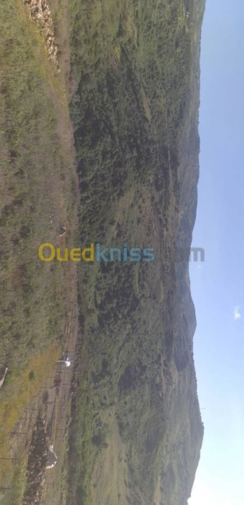 Vente Terrain Tizi ouzou Tigzirt