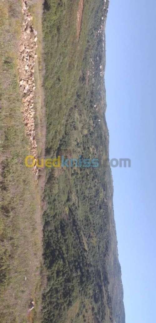 Vente Terrain Tizi ouzou Tigzirt