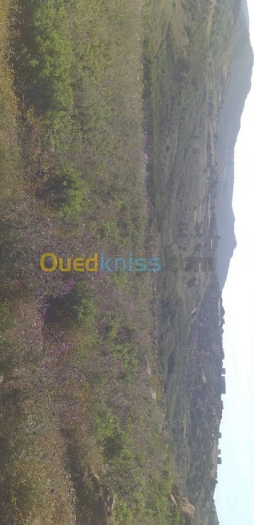 Vente Terrain Tizi ouzou Tigzirt