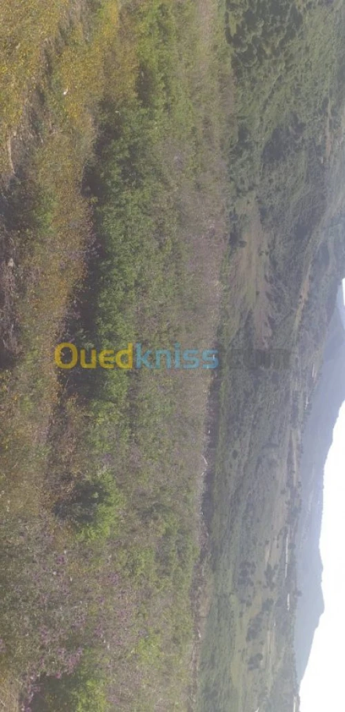 Vente Terrain Tizi ouzou Tigzirt