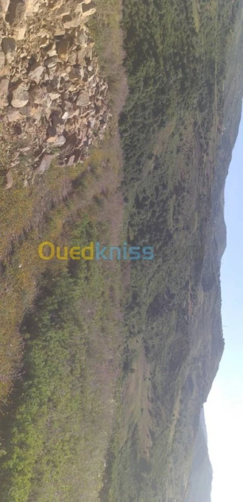Vente Terrain Tizi ouzou Tigzirt